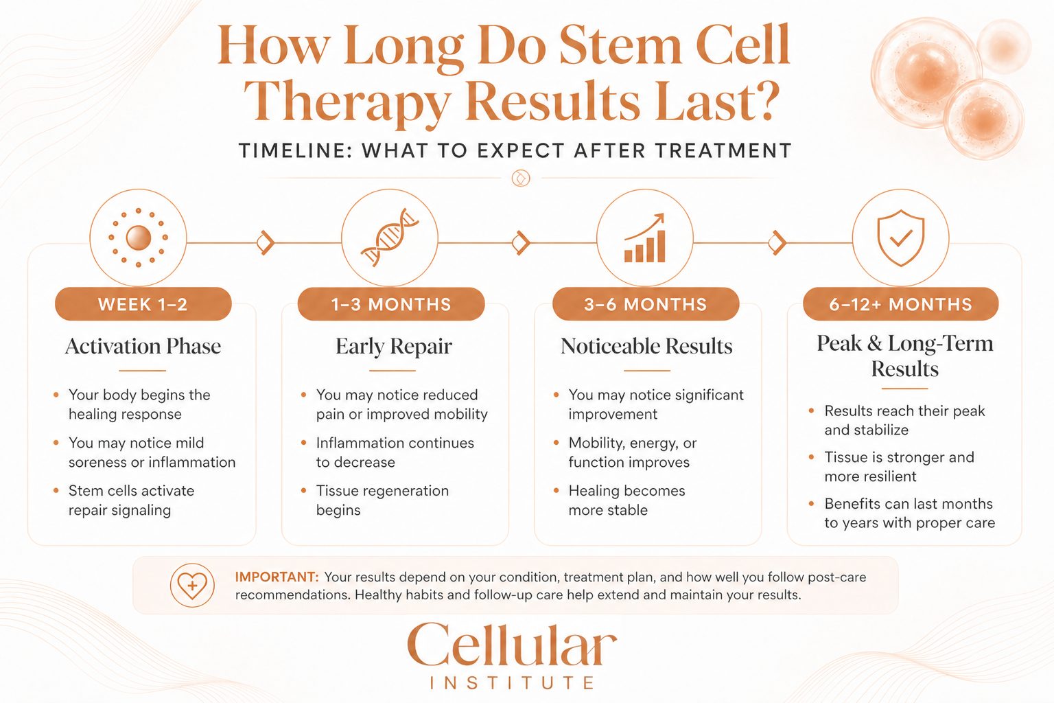 How Long Do Stem Cell Therapy Results Last?