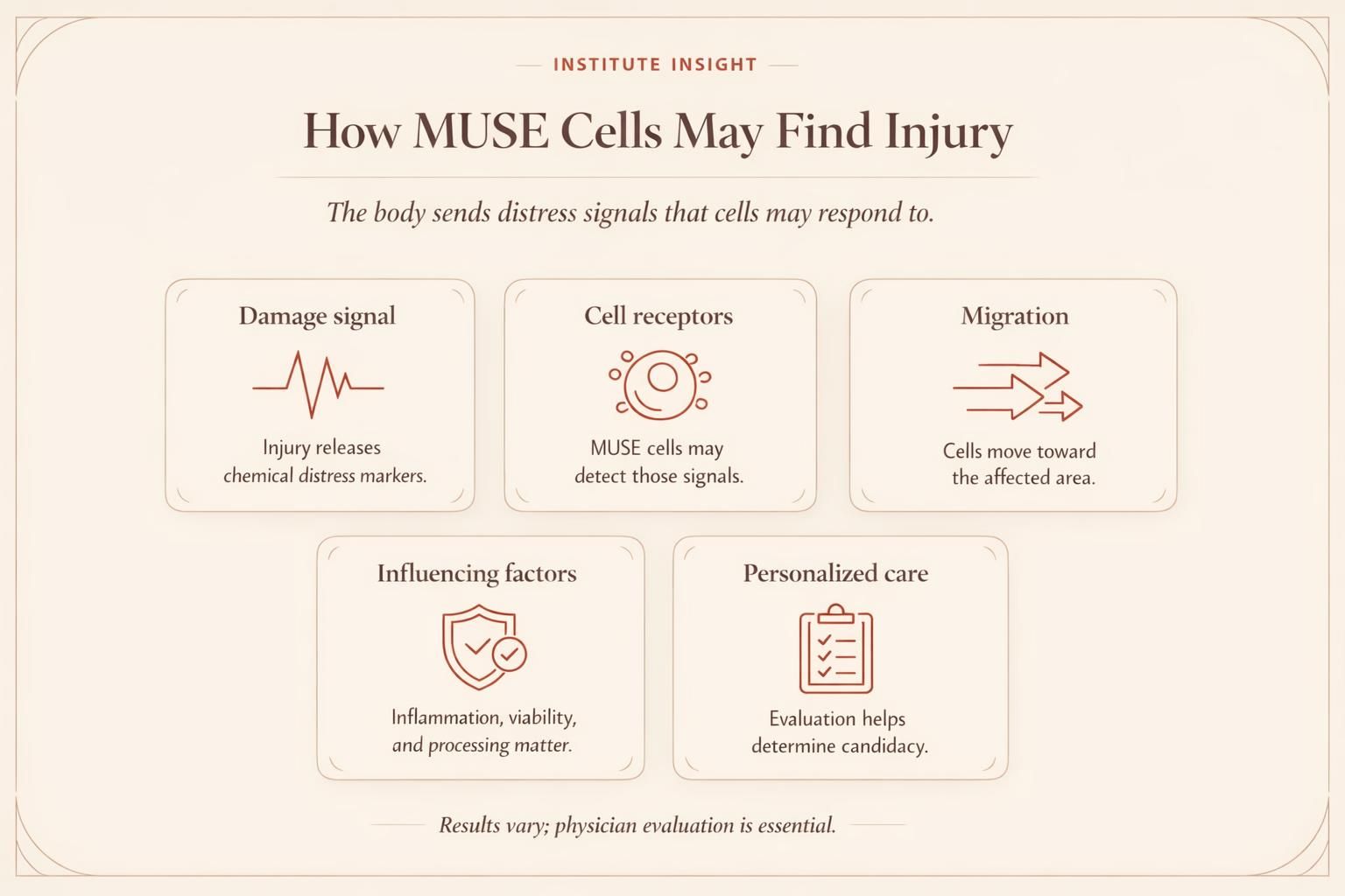 Educational infographic explaining the MUSE cell homing mechanism and the factors that influence cell quality and therapy response.