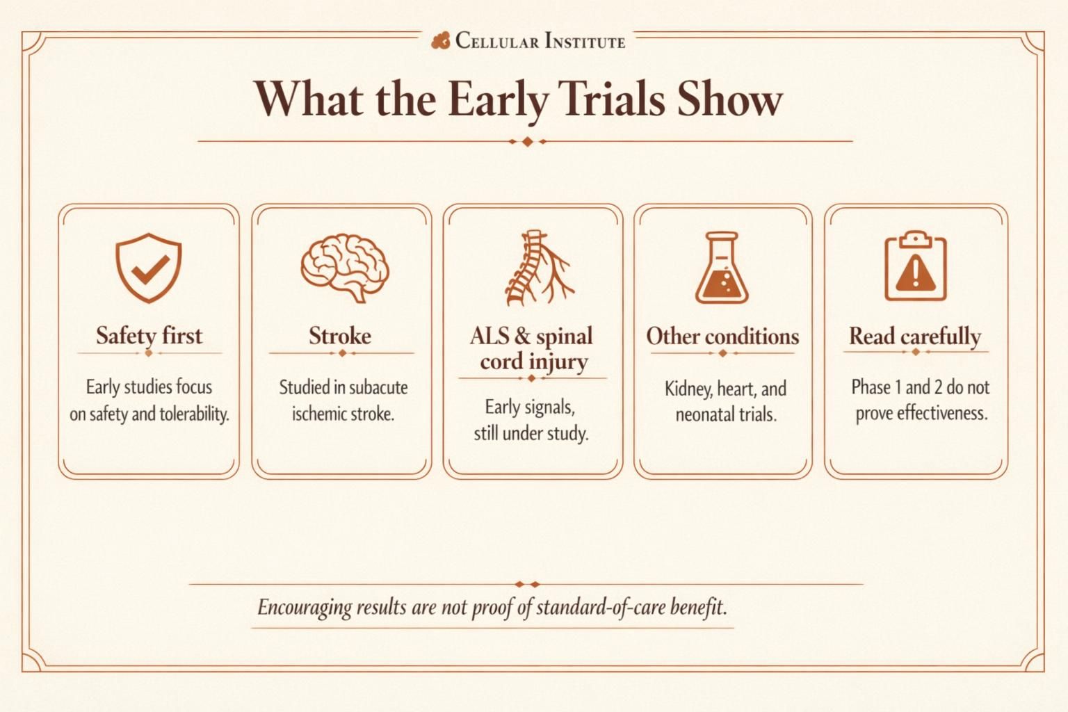 Educational infographic summarizing what MUSE cell therapy clinical trials have studied and what patients should understand.