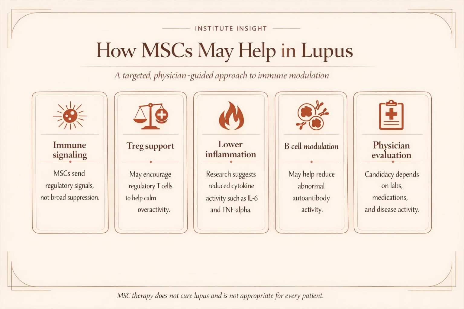 Educational infographic explaining how mesenchymal stem cells may help calm inflammation in lupus