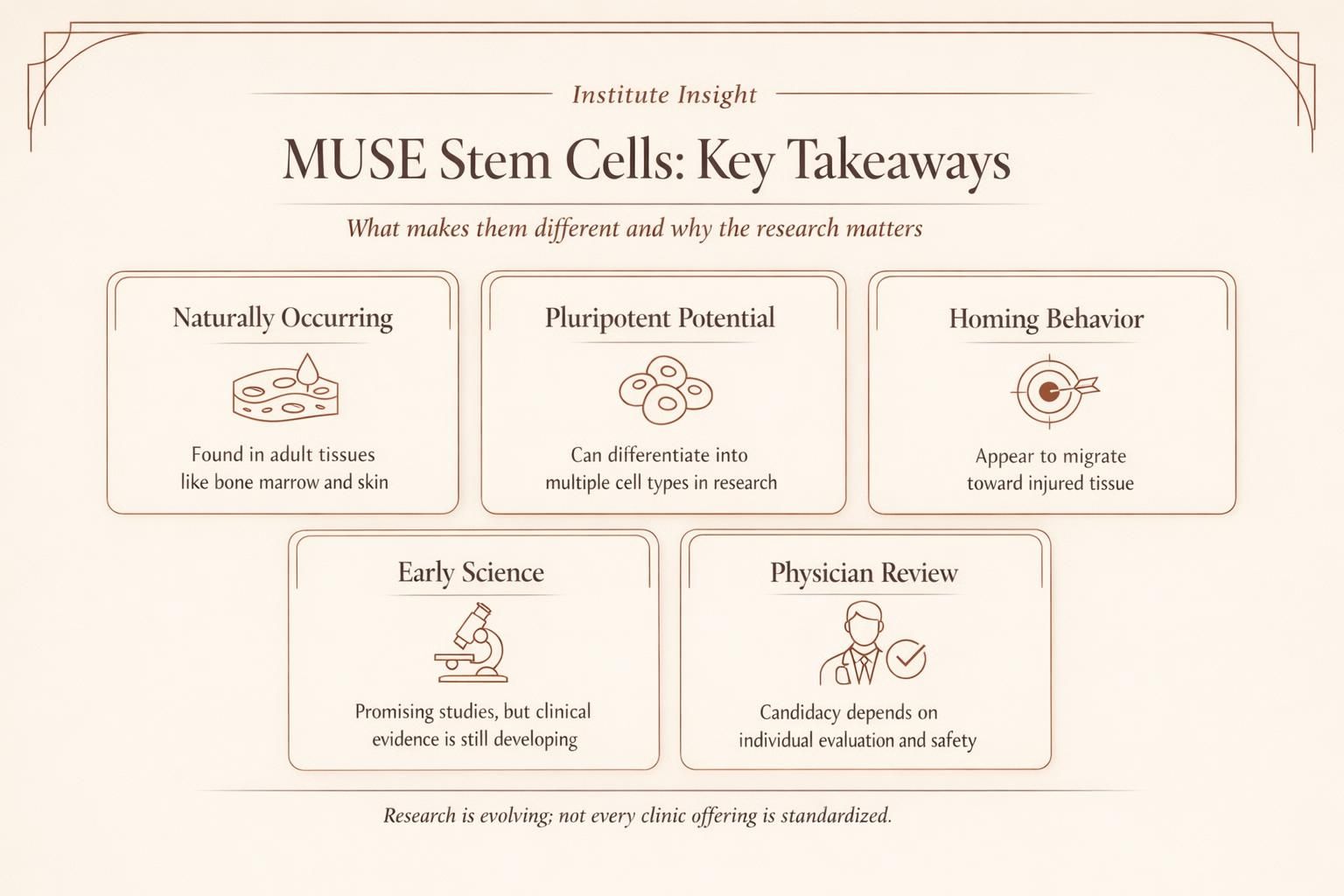 Educational infographic comparing MUSE stem cells with other stem cell types and summarizing key safety and science points.