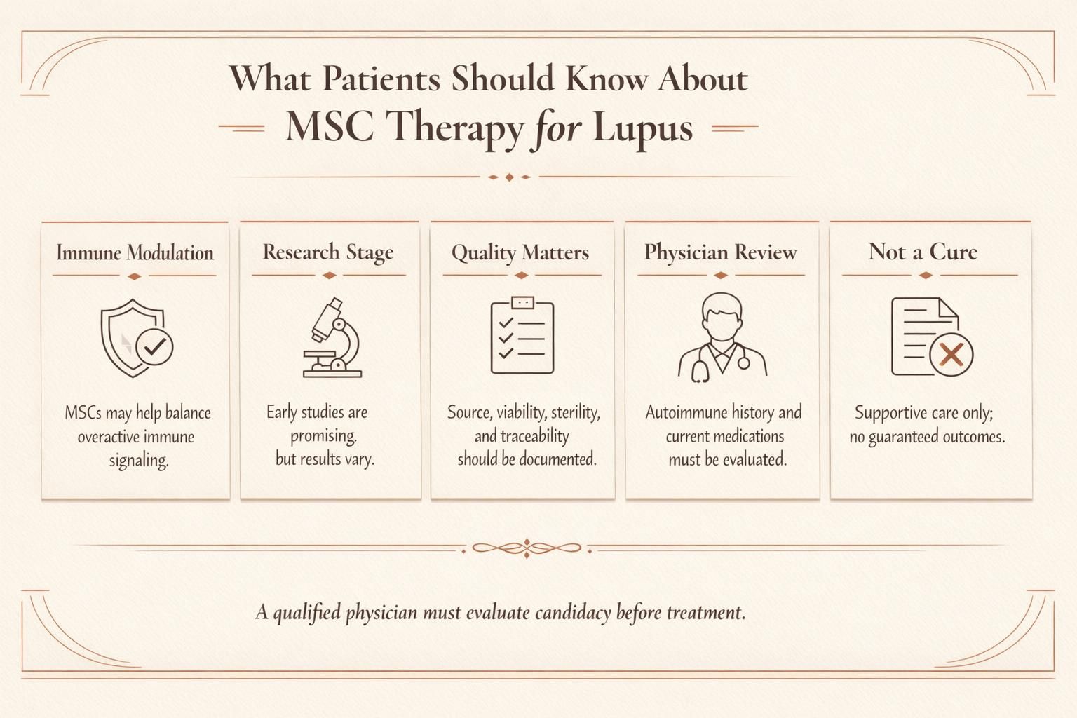 Educational infographic summarizing how mesenchymal stem cells may support immune modulation in lupus and what quality and safety factors matter.