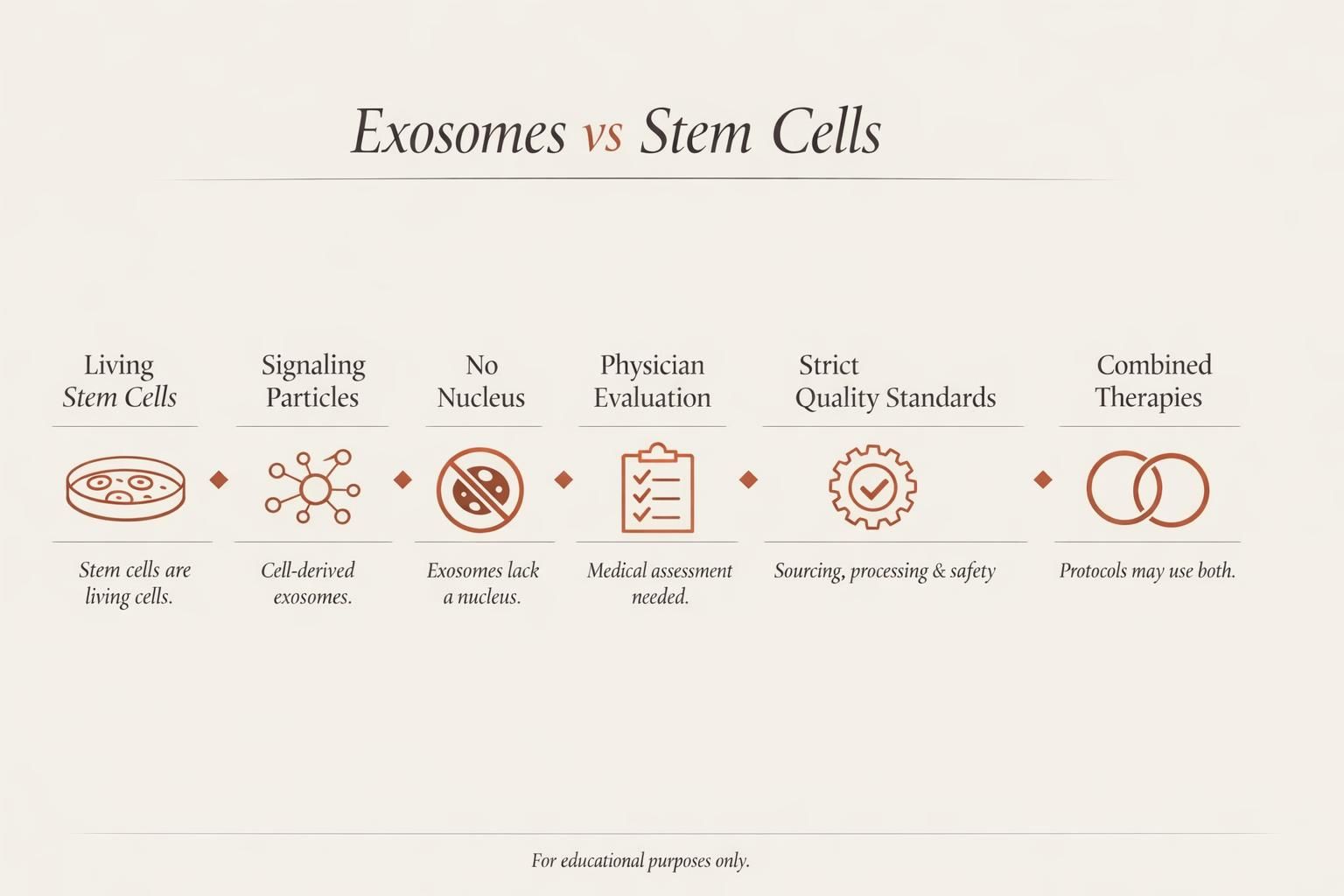 Guía visual sobre diferencias entre exosomas y células madre